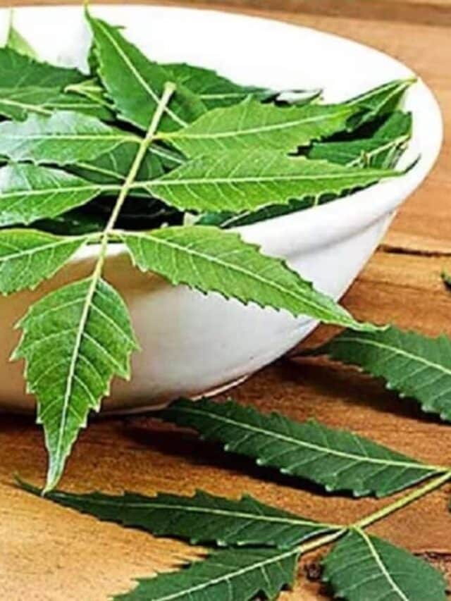 7 Incredible Neem Benefits for Face