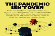 Omicron Sub-variant Pirola Emerges As Cause of Concern | Explained in GFX
