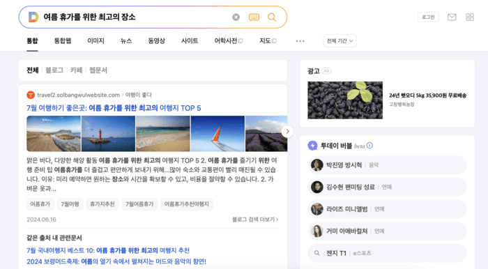 Daum search