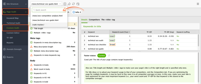 Content audit section