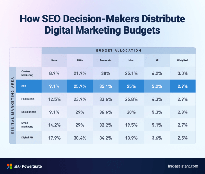 Digital marketing budget distribution